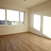 laanetee-paarismajad-013